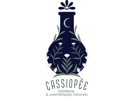 Casssiopee