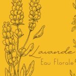 Eau florale lavande, ferme Cassiopée