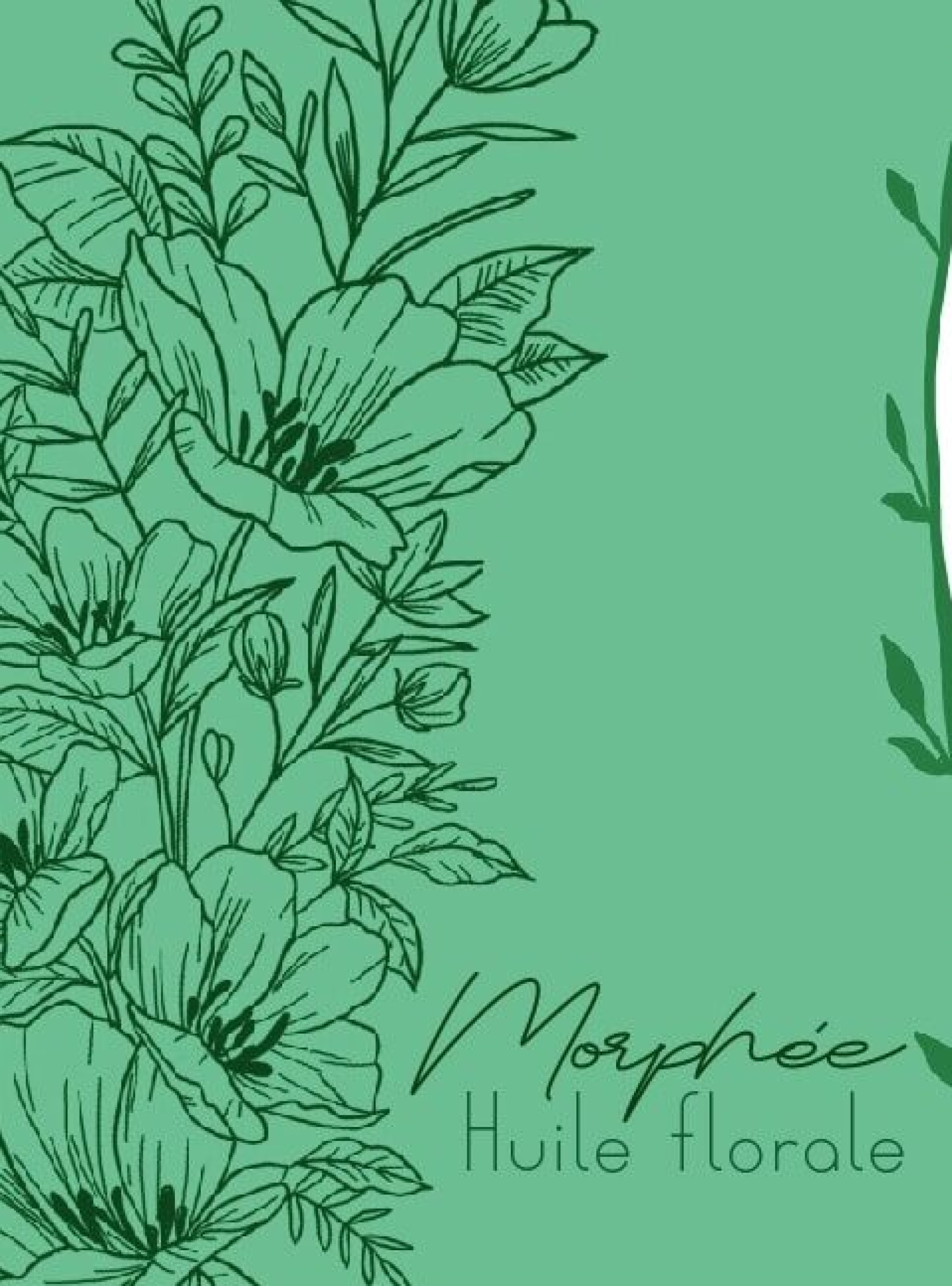 Morphée, ferme Cassiopée