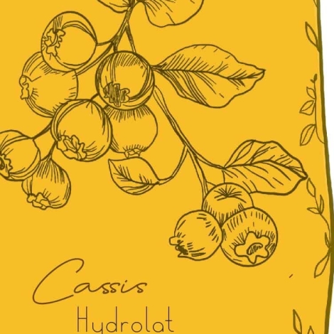 Cassis, ferme Cassiopée