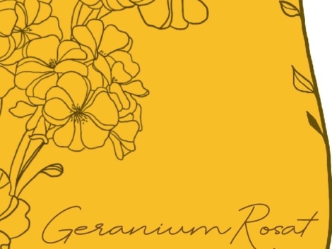 Géranium, ferme Cassiopée