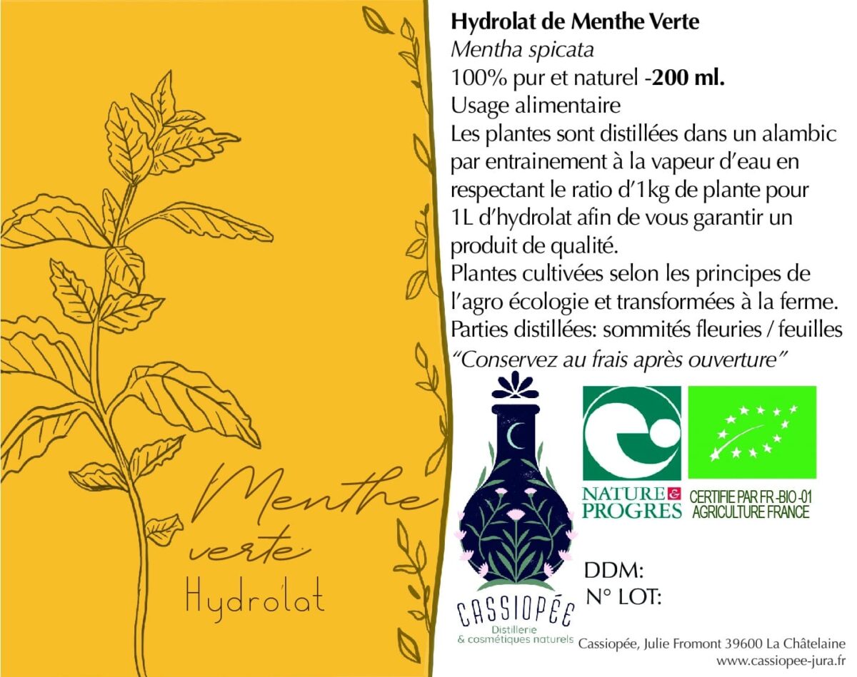 Hydrolat de menthe verte