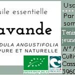 Huile essentielle de lavande officinale – Image 5