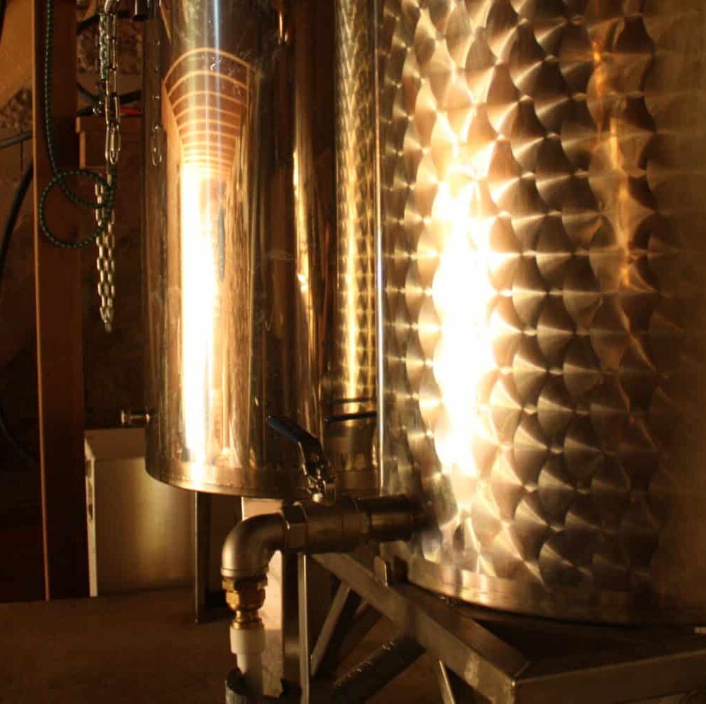 IMG 9225 scaled e1696411664855 - Cassiopée Jura