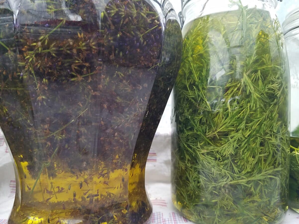 Macérât huileux de Lavande officinale – Image 3