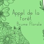 Brume Appel de la Forêt