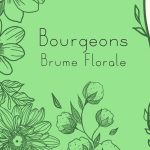 Brume Bourgeons