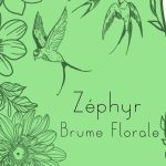 Brume Zéphyr