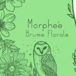 Brume Morphée
