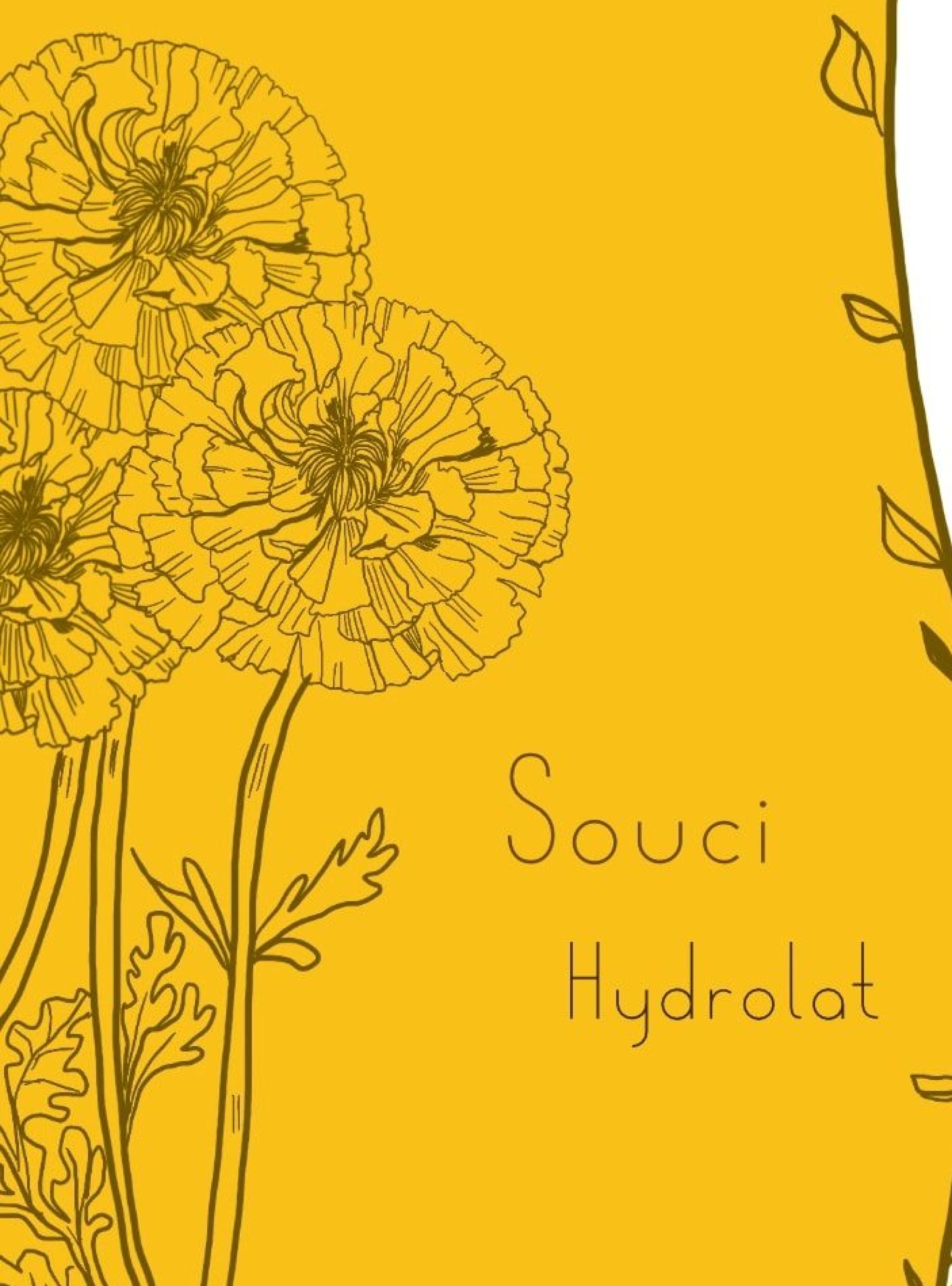 HYDROLAT SOUCI DE LA FERME CASSIOPEE