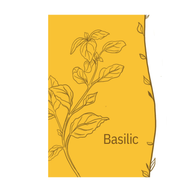 Hydrolat de basilic de la ferme Cassiopée dessin