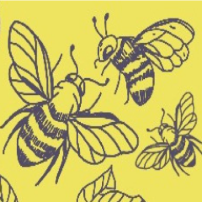 BAUME POIL A GRATTER DESSIN